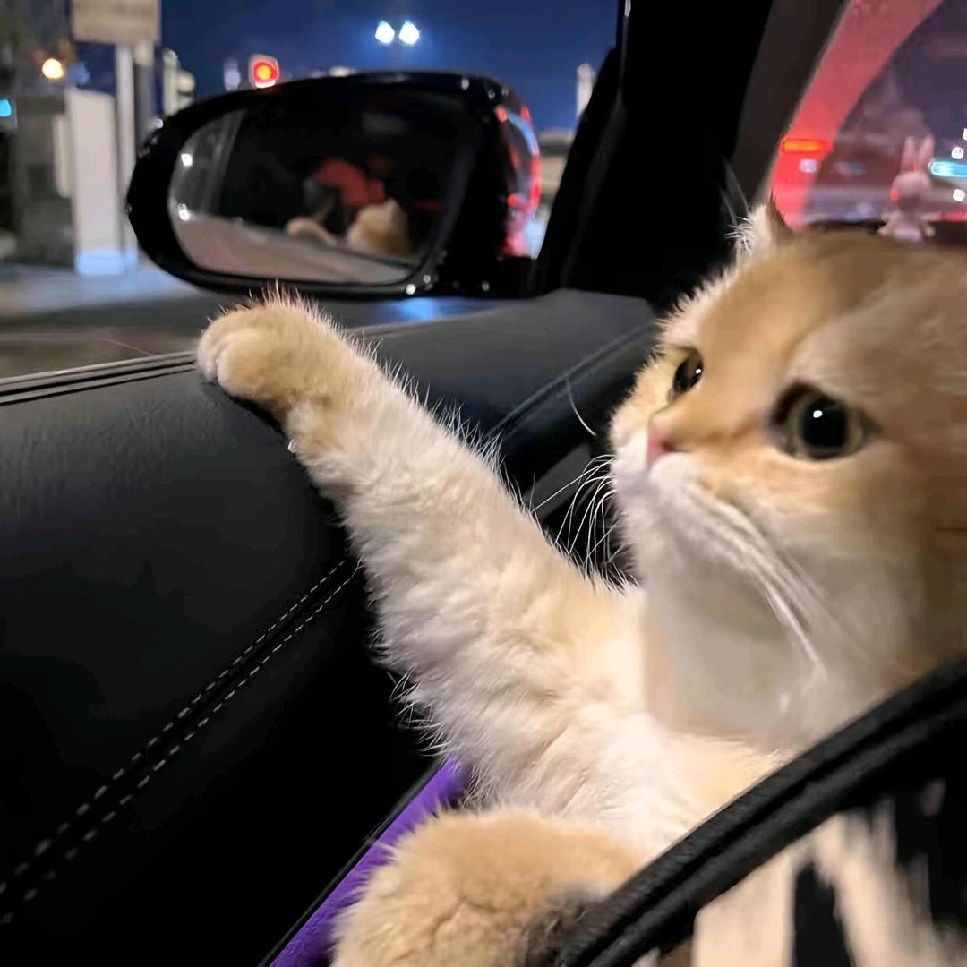 丢了的东西脏了别捡