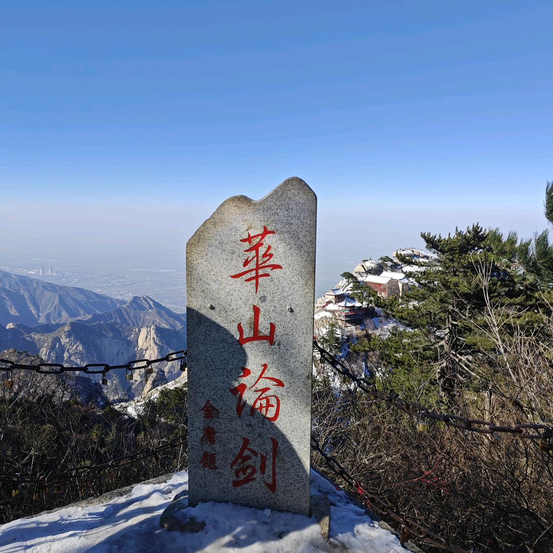天天来