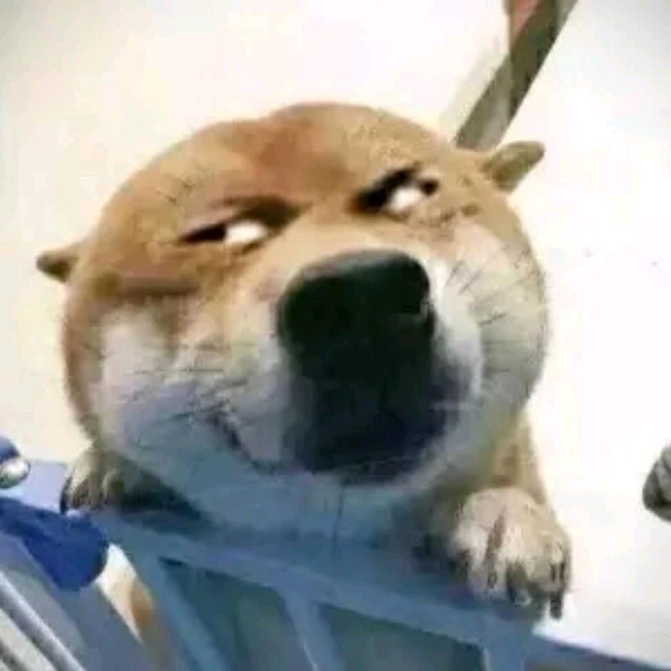 即将拥有人鱼线