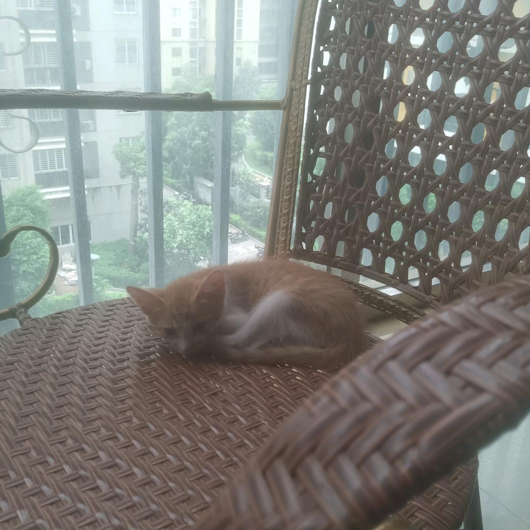 @十九