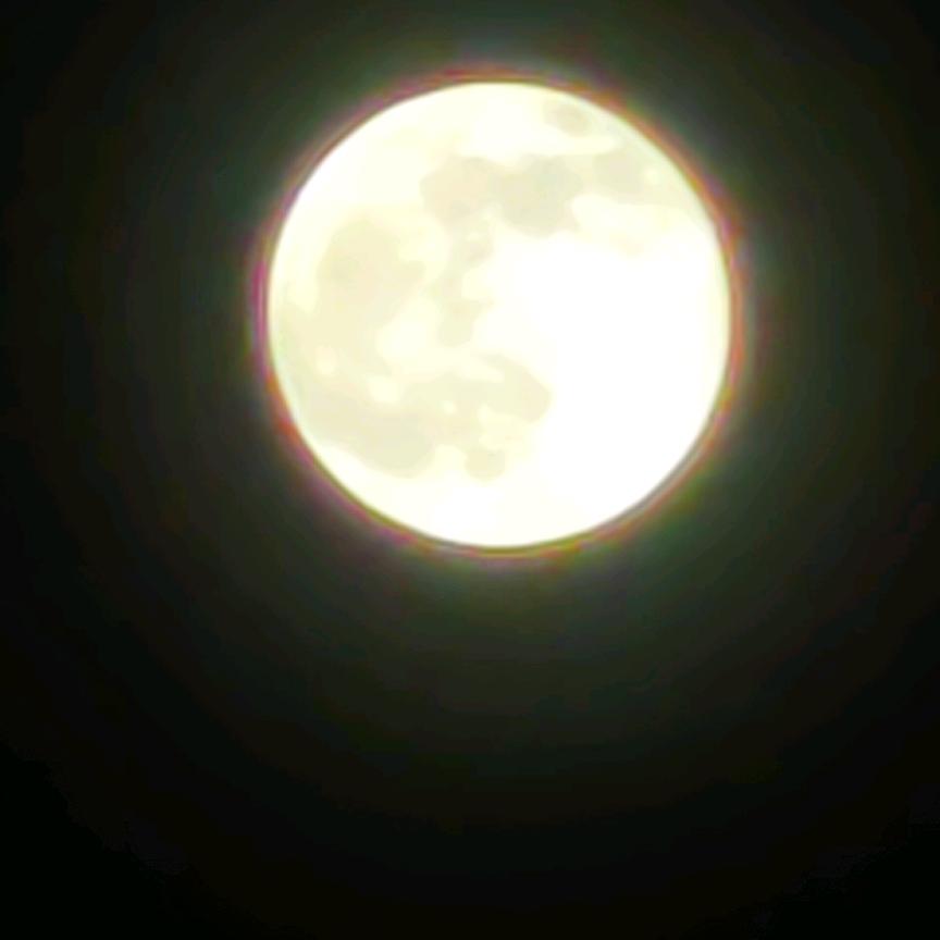 🐺独狼🐺