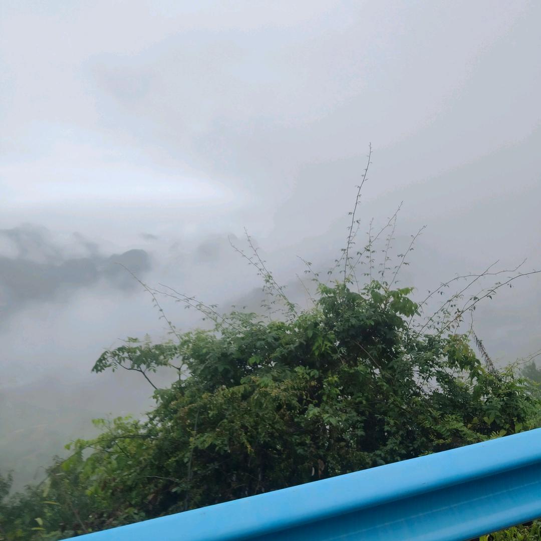 余生我独行