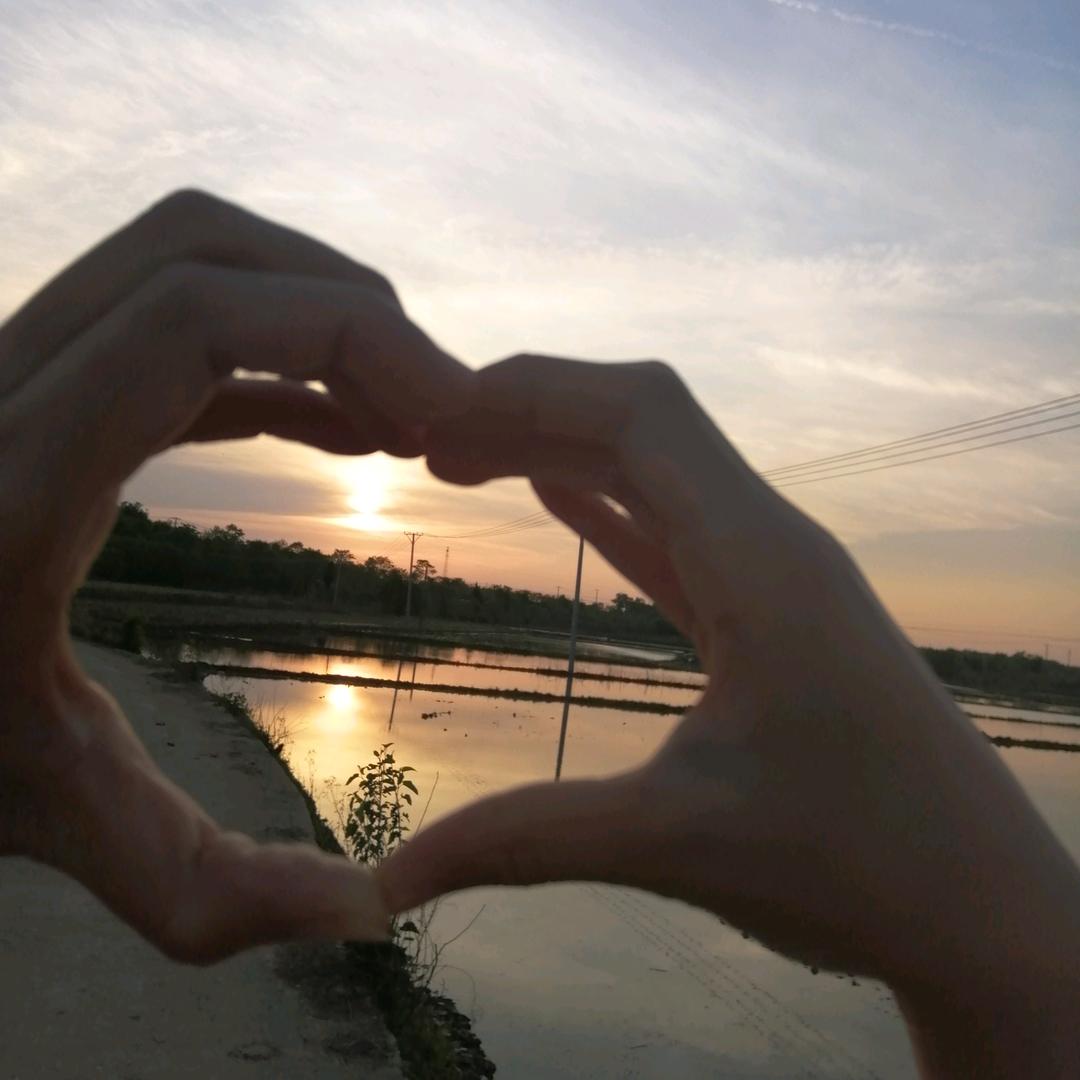 @杨杨吖