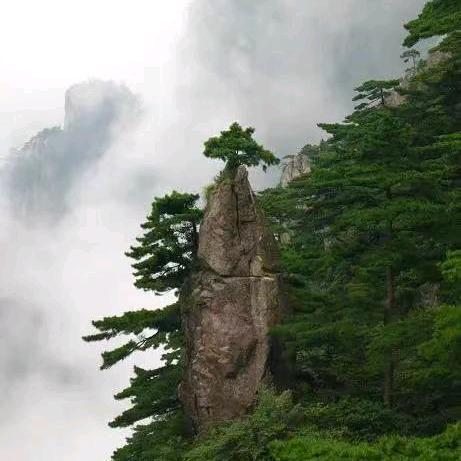 奕南