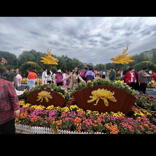 锦暮流年