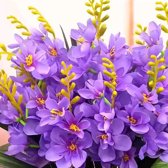 青青柠檬🍋💖你