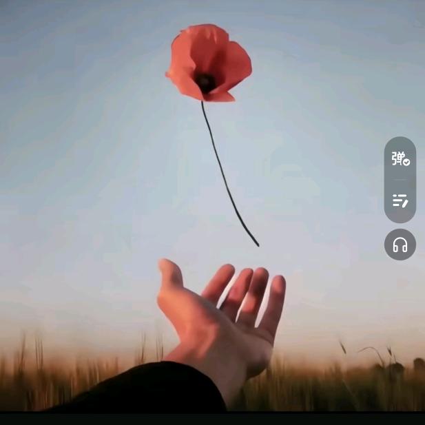 伴心❤️