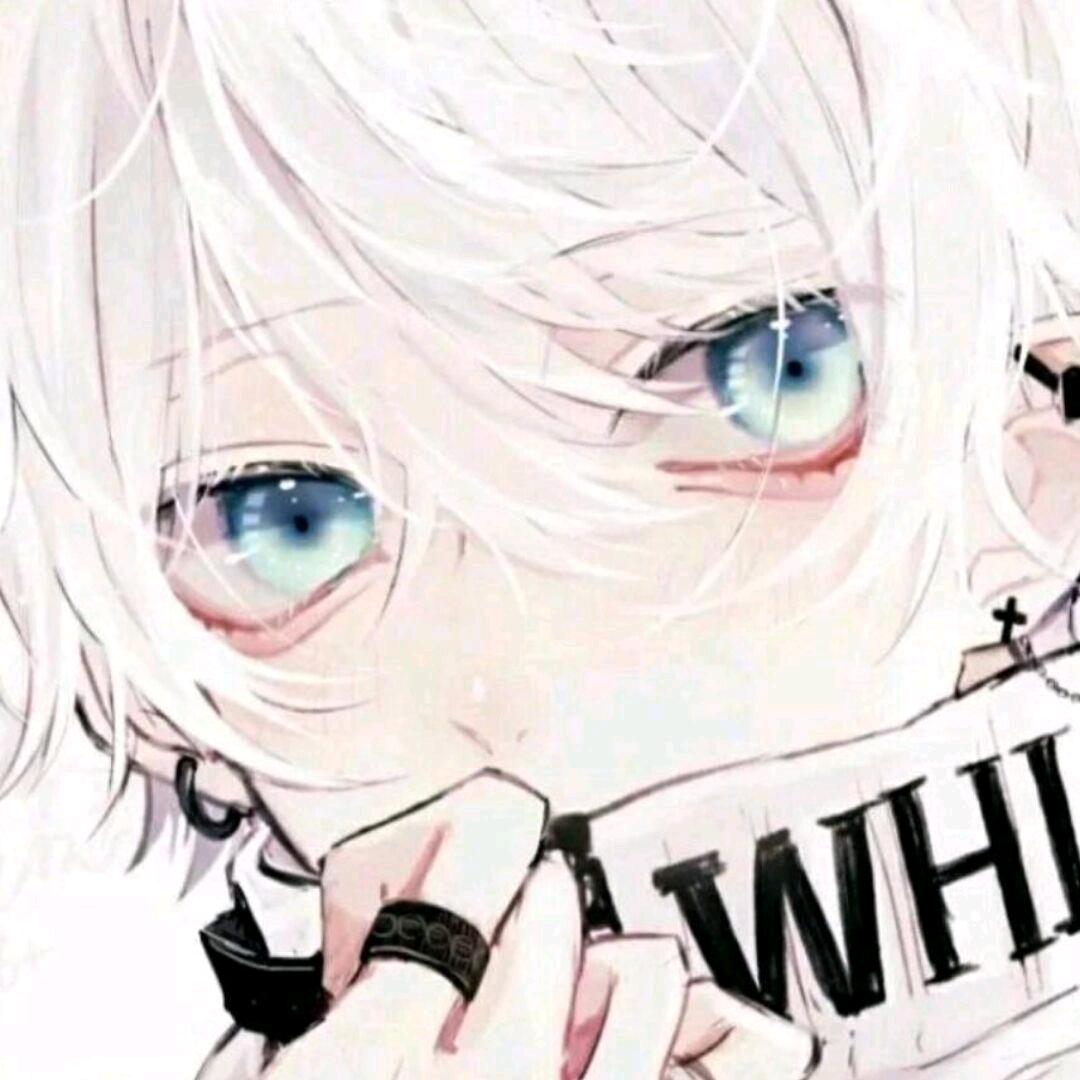 今屿