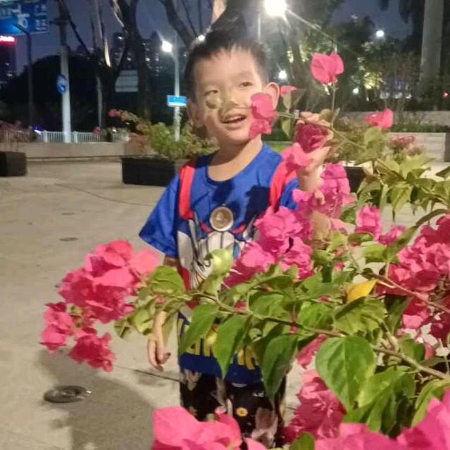 追影