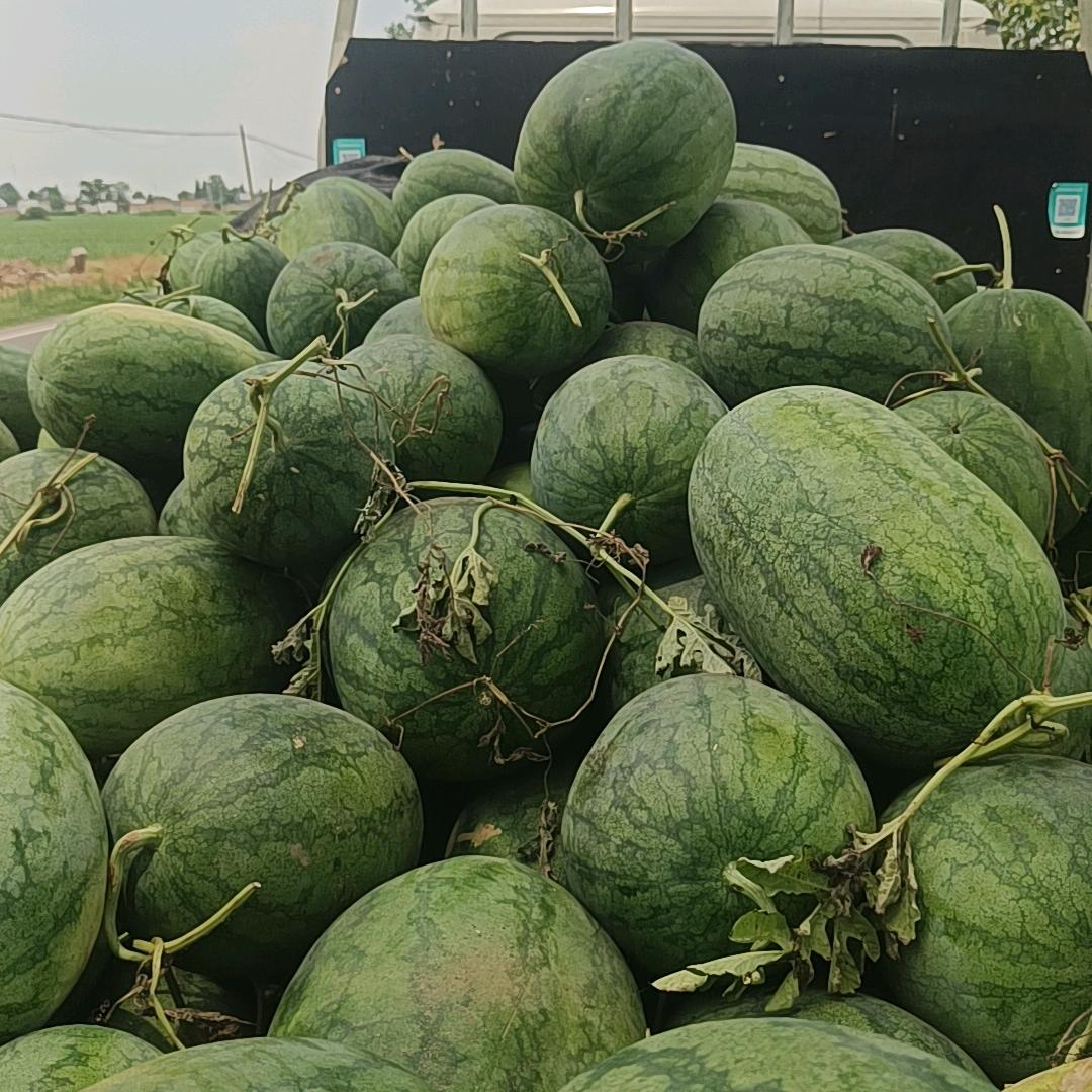 无聊大自然的搬运工。