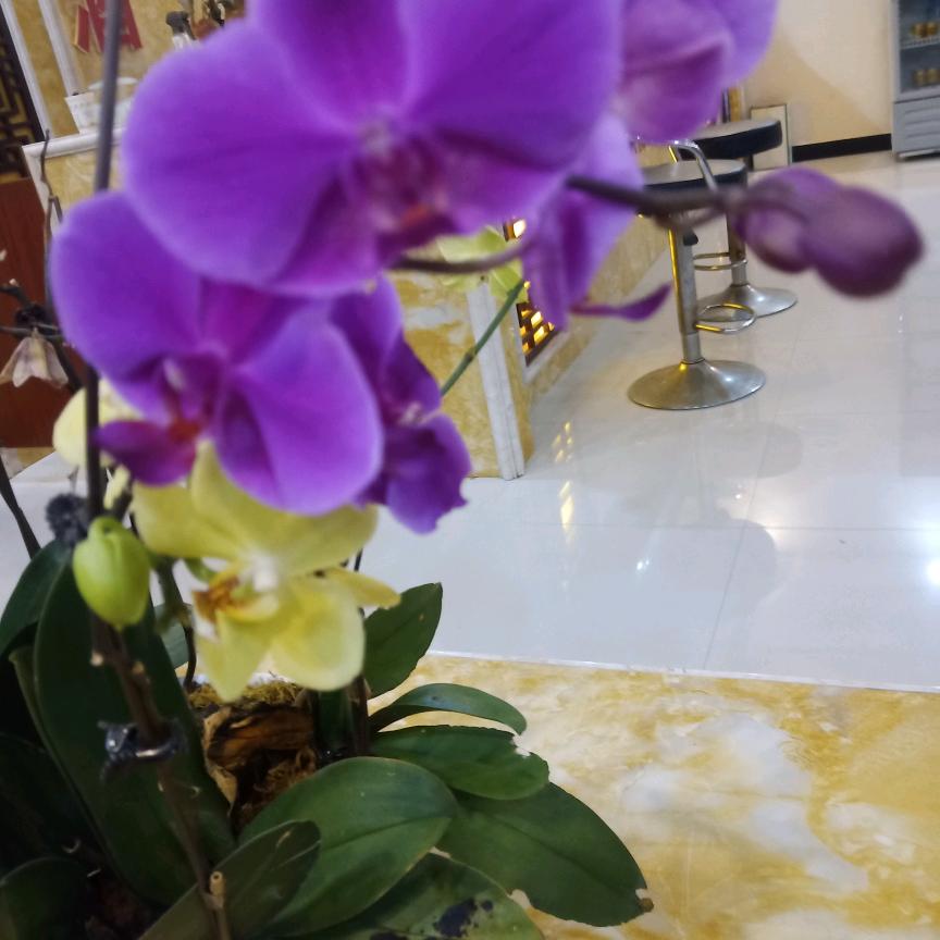 长河落日＿圆🍎