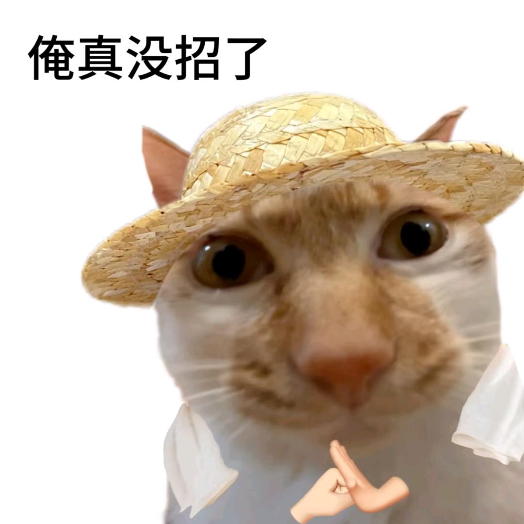 老农民头像