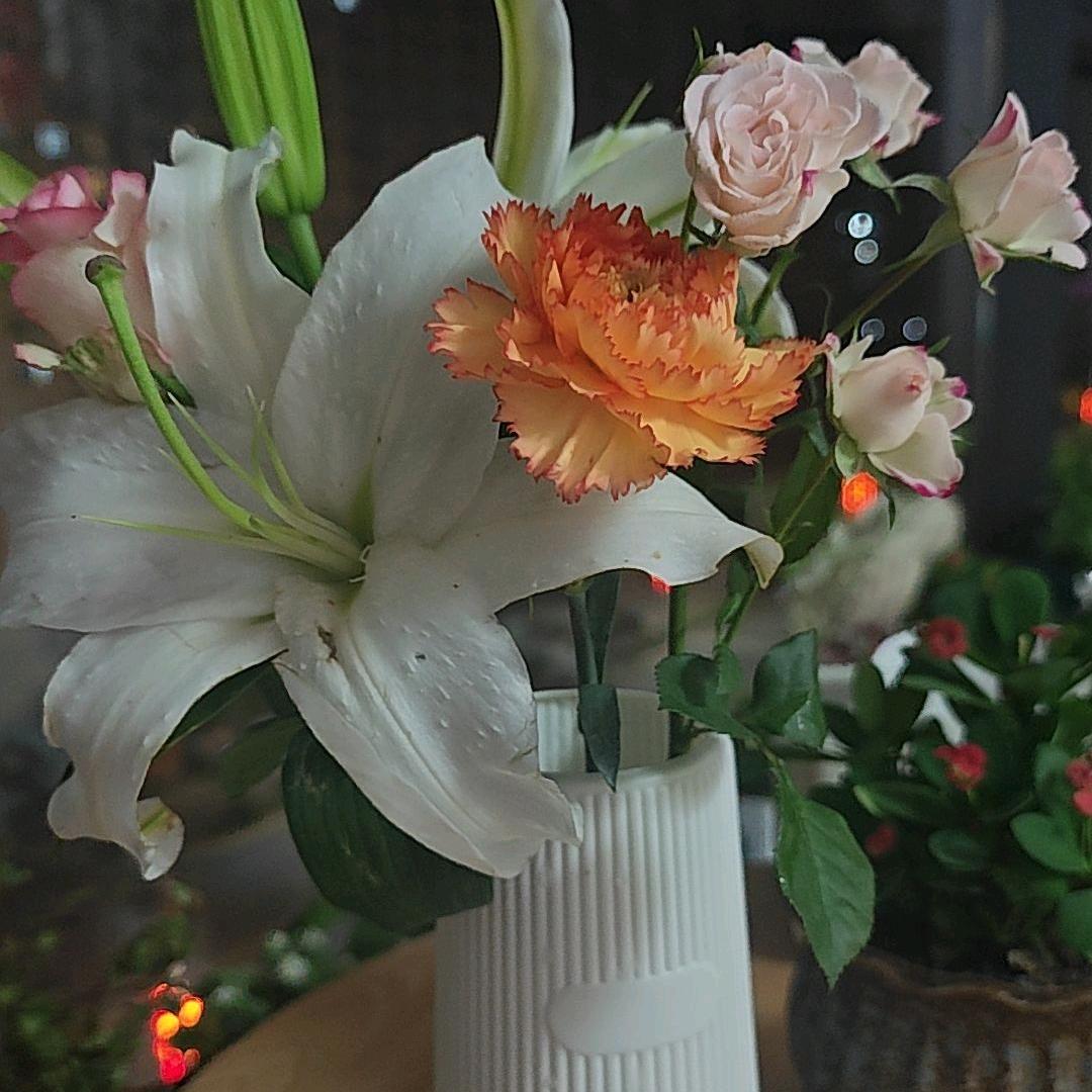 ঞ浅笑不语ഒᩚ࿐