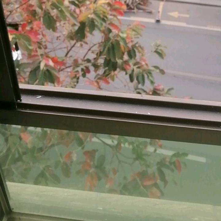 一帆风顺111