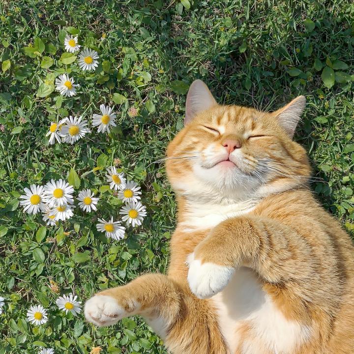 蒸蒸日上的夏天