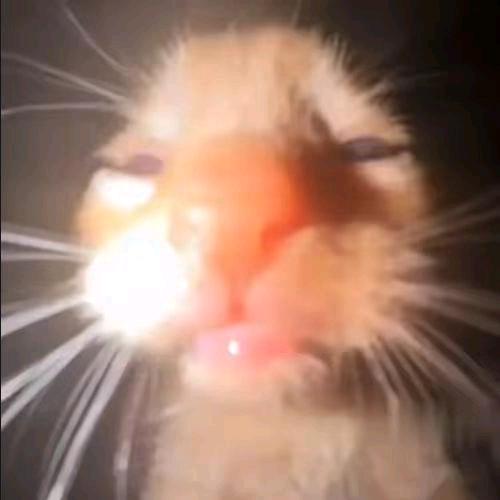 ARH