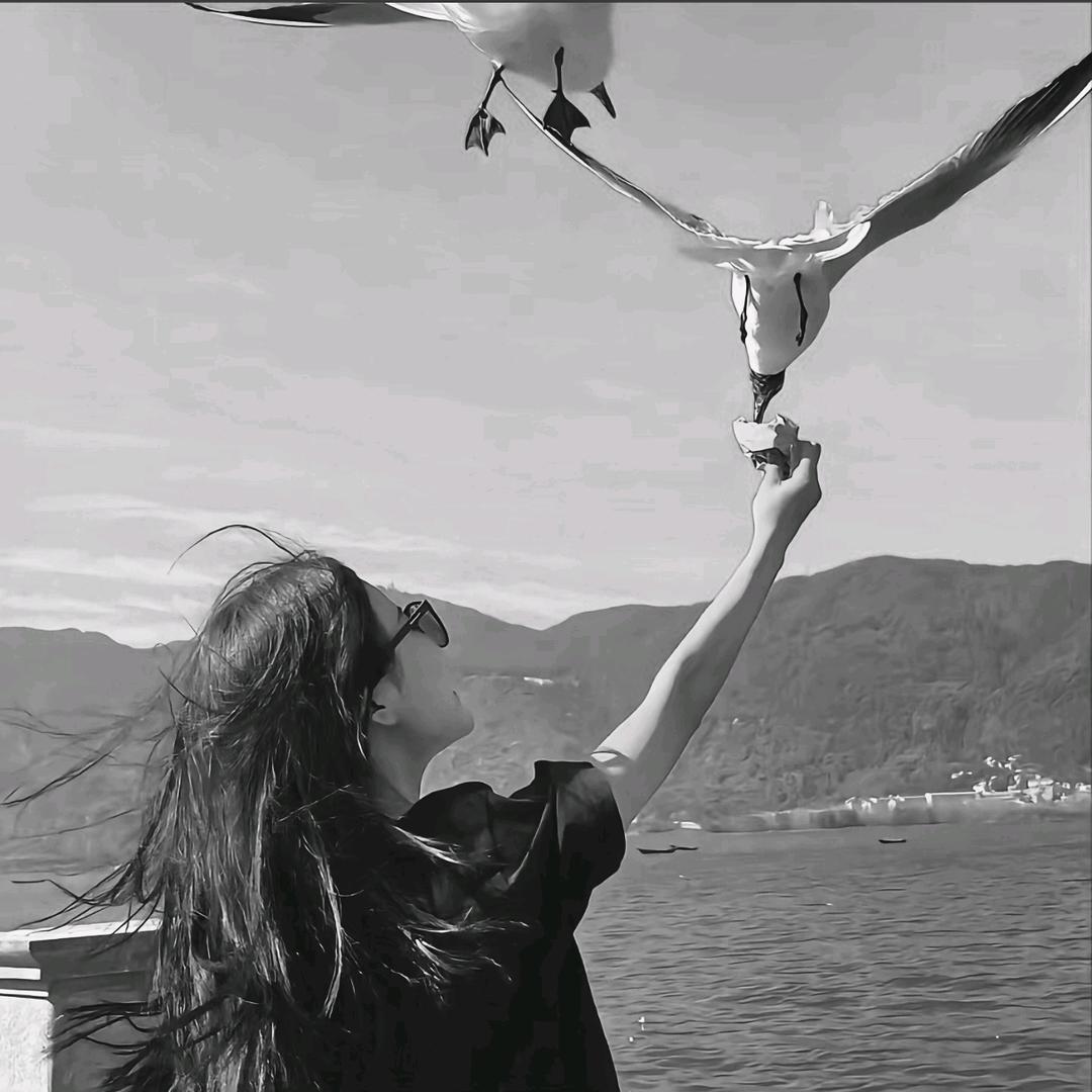 洛洛