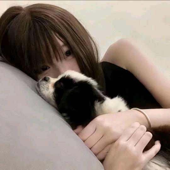🐾