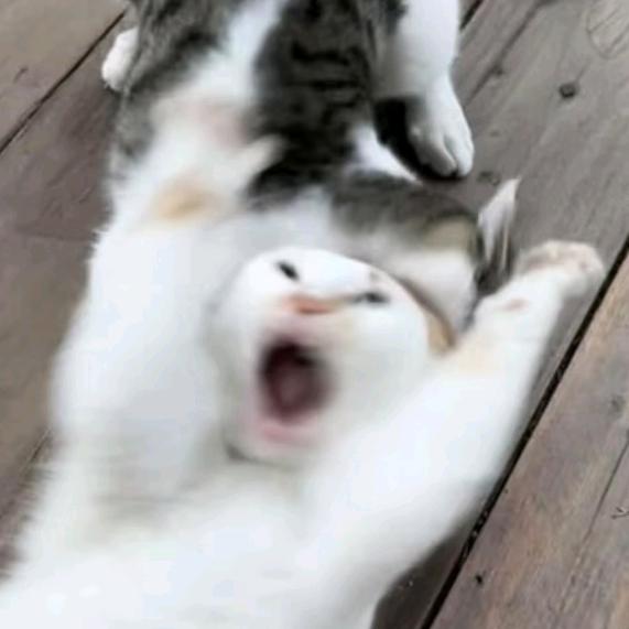 -薄·荷·灌·脑-（海娜版）