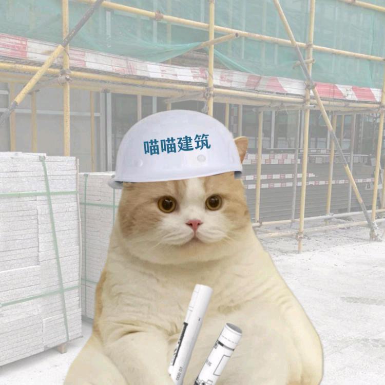 红烧茄子
