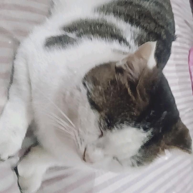 ⫍⃢⃢👁记得记得👁⃢⫎ﻌ