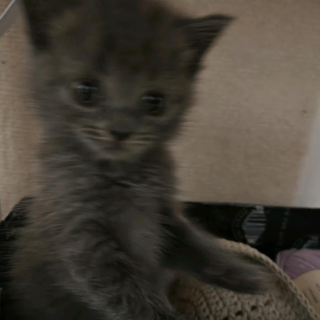 一织😾呀_