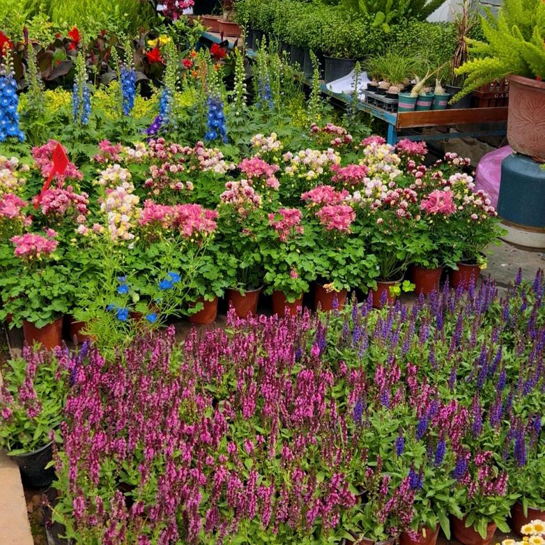 开心快乐每一天