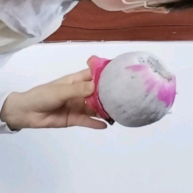 修猫碎碎念