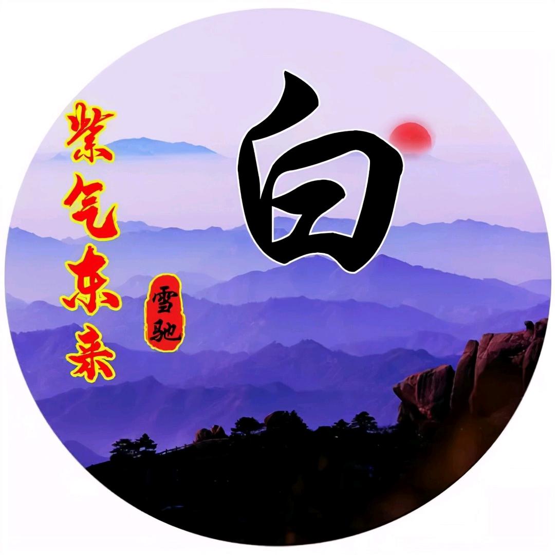 白家大小姐