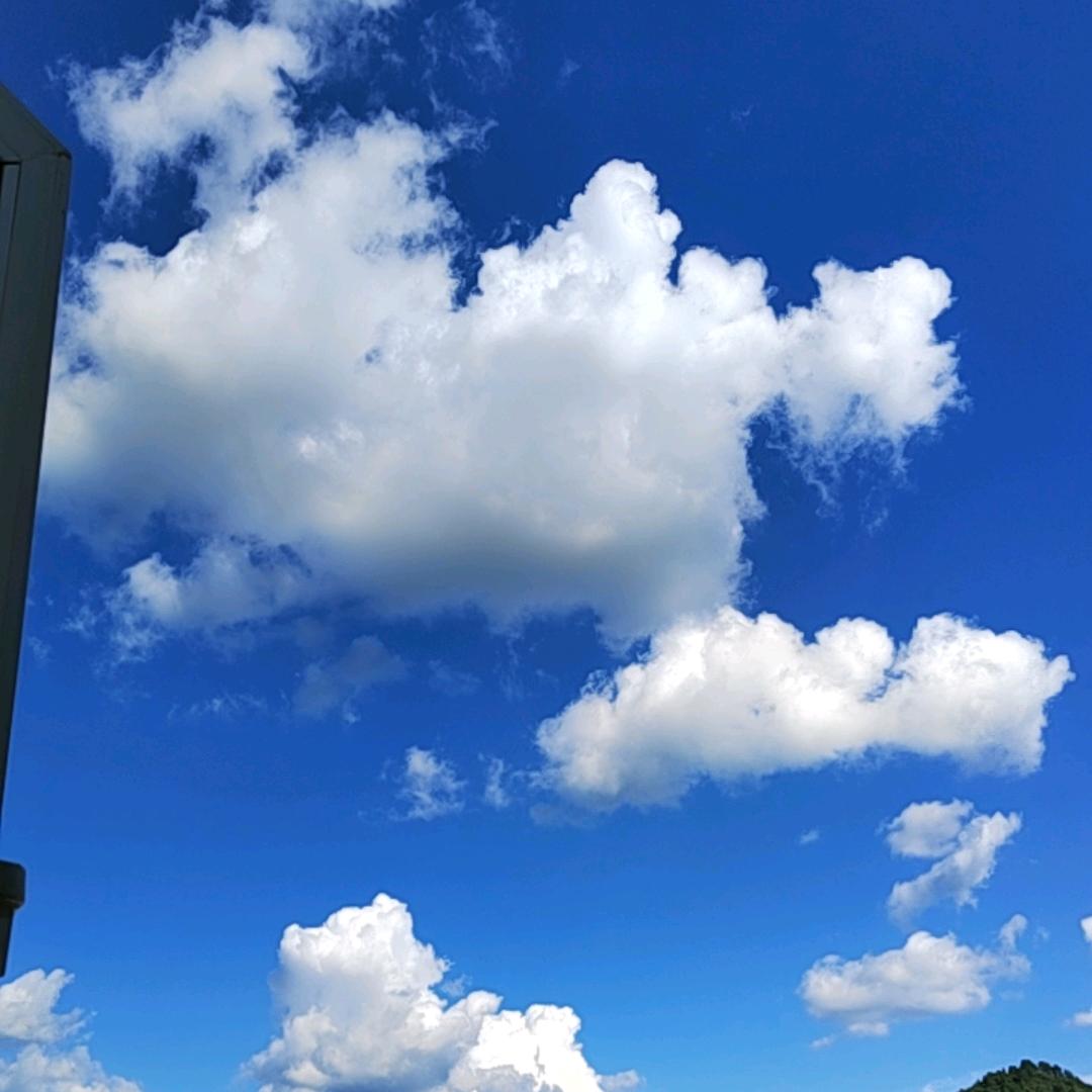 chen陈