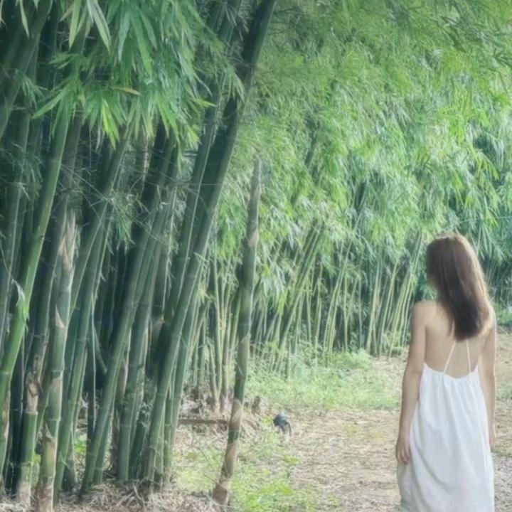 （努力版）