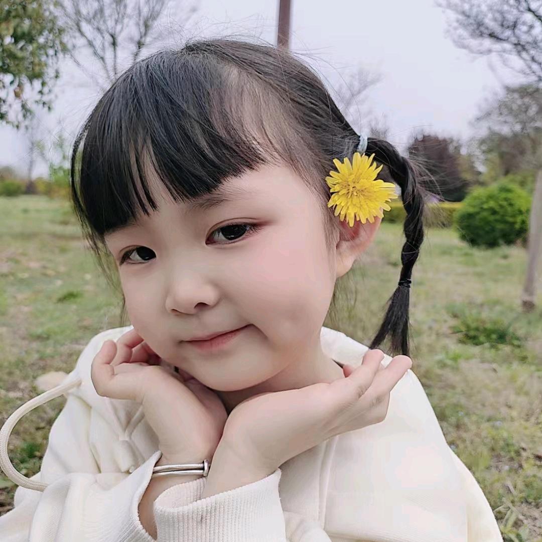 是团团呀