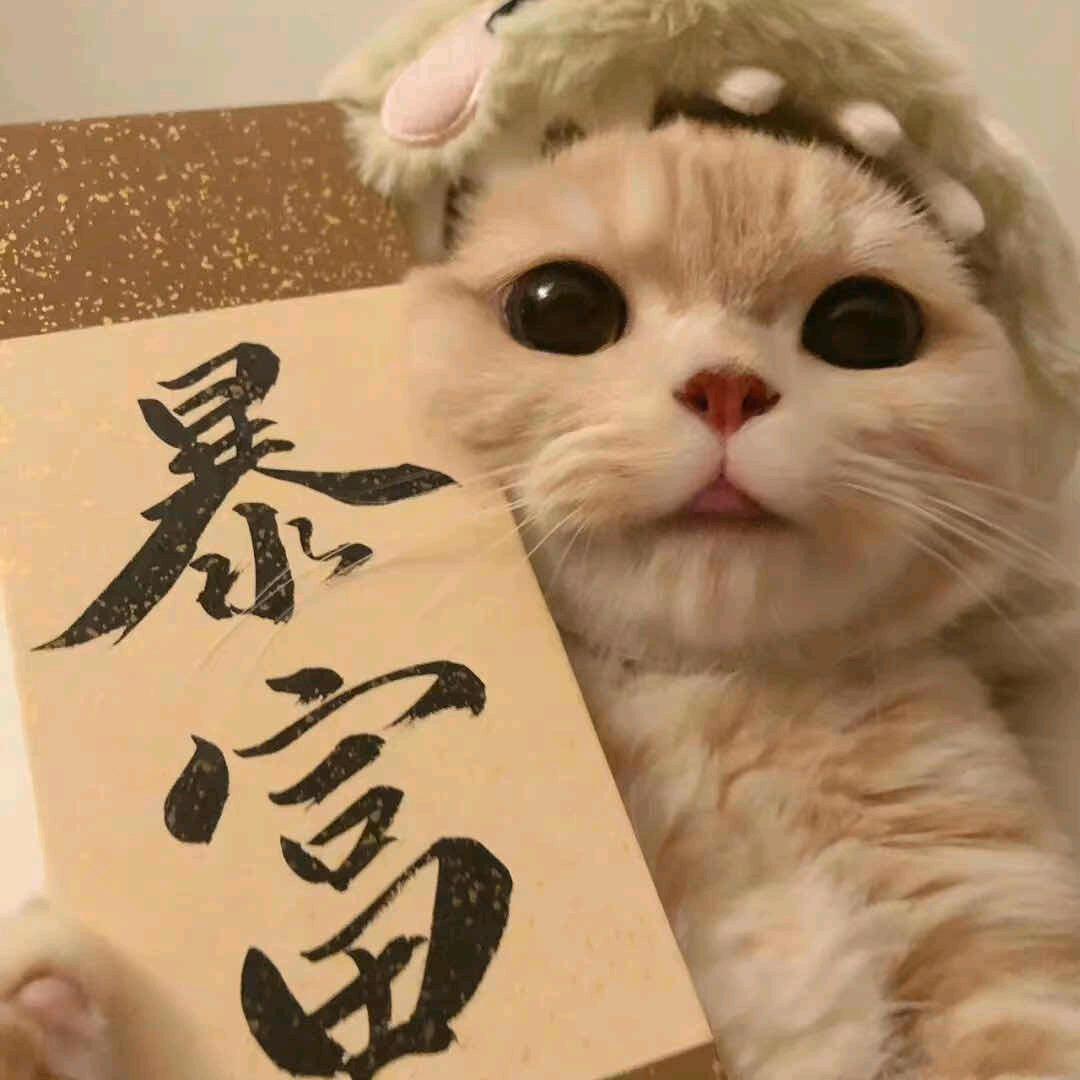 錚