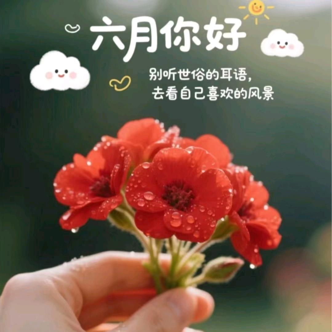 百合𝓡𝓼