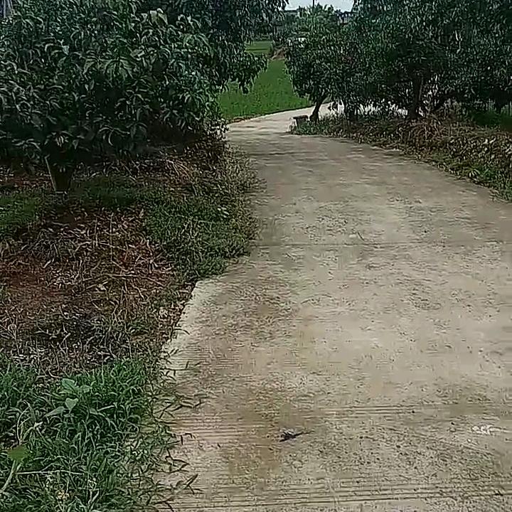 相遇就是缘