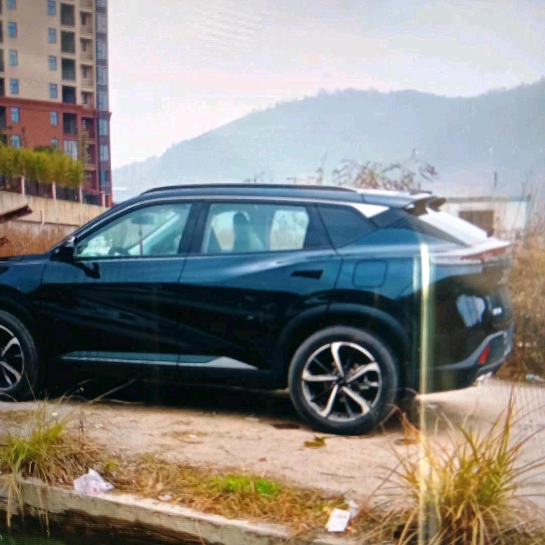 幸福美满🌹🌹