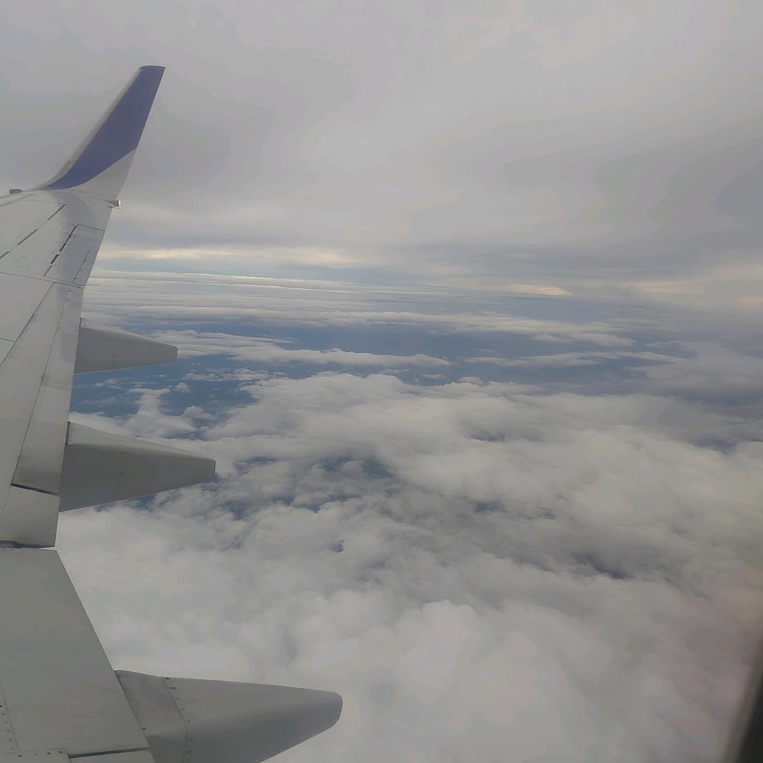 秋风许我再年少