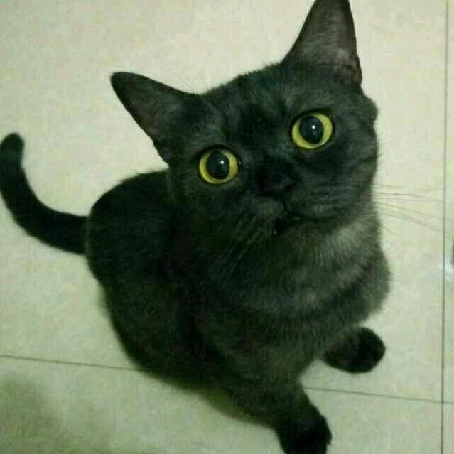 那那那那那不是💛