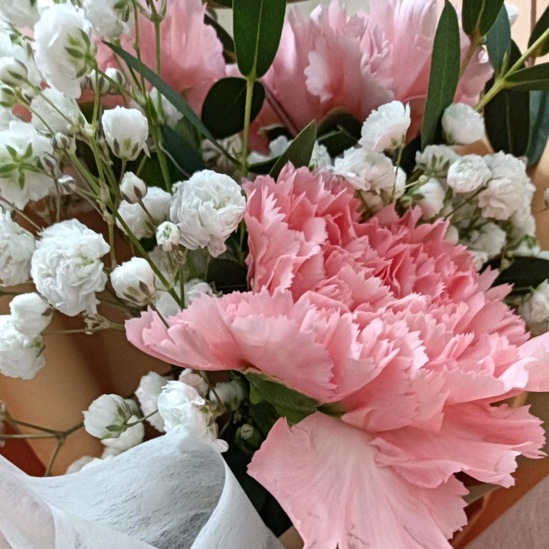 💞命中🍀注定