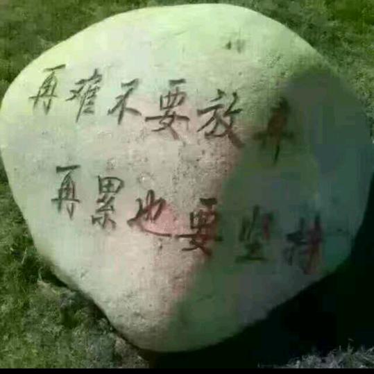 我的青春我做主