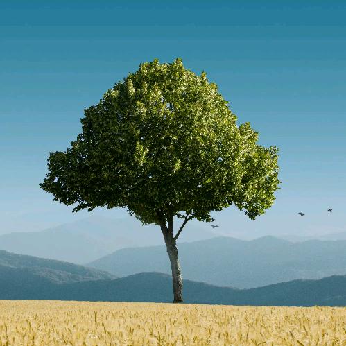 苏州专转本吴老师