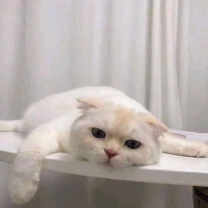 三战北城