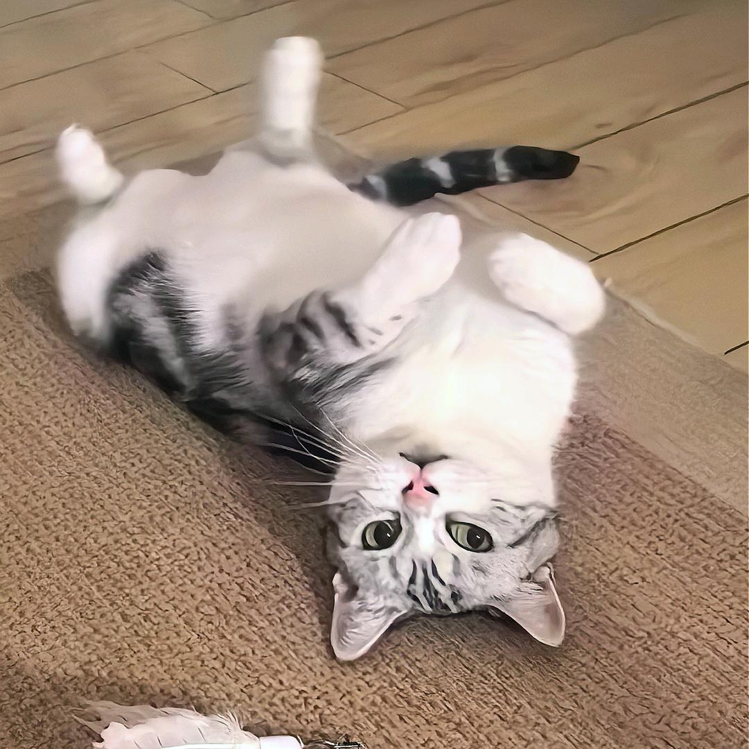 折耳根香菜味～