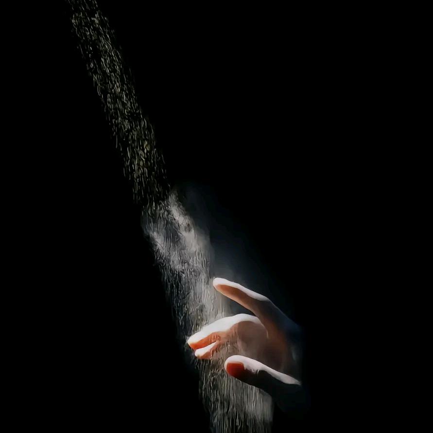 🐟🐟🐟