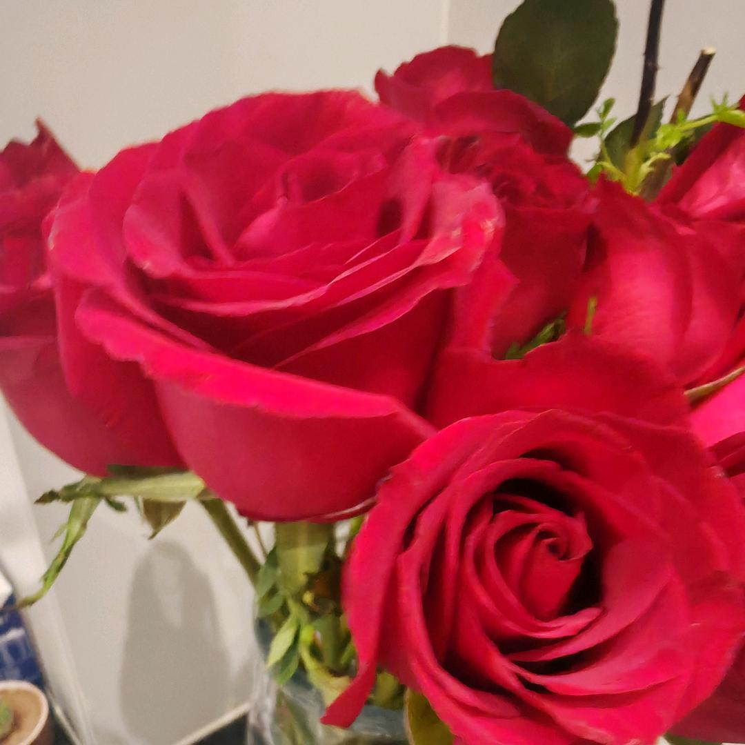 幸福安康平安喜乐