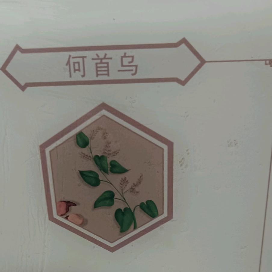 宝贝