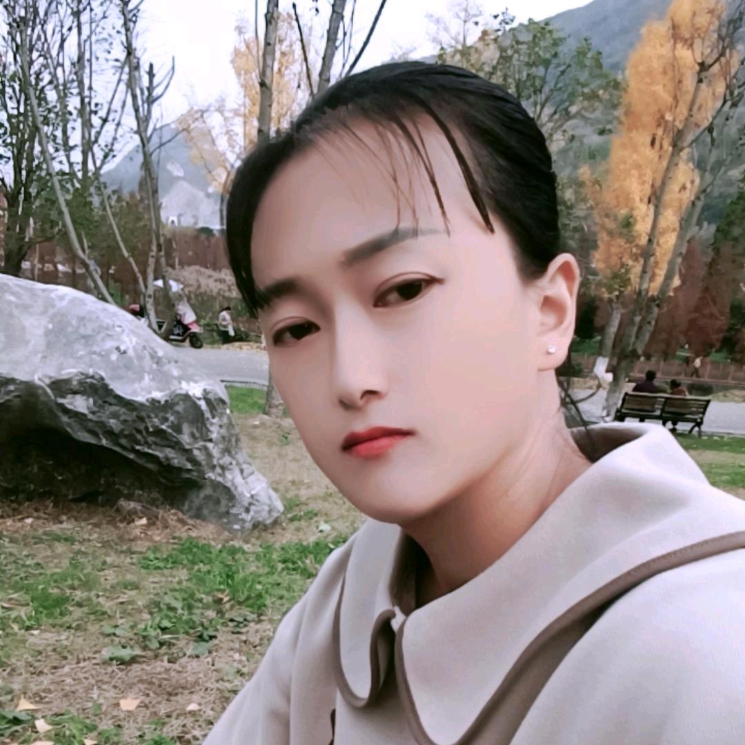 难以抗拒的容颜