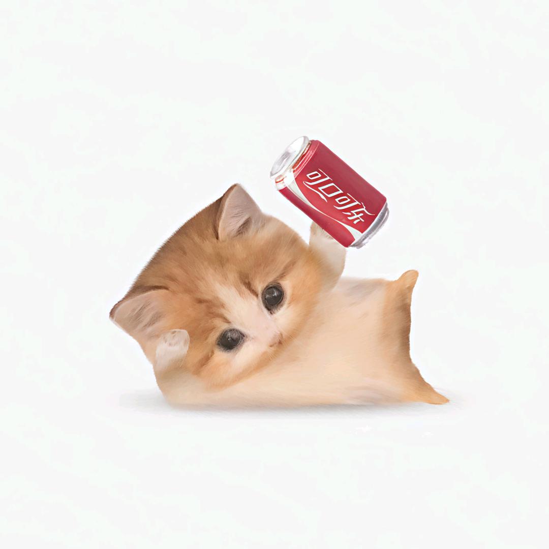 番茄香菜牛肉汤