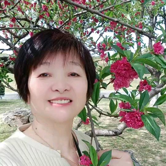 杨二姐自媒体