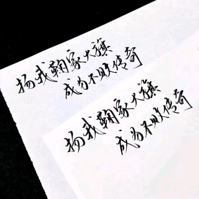 懒得取名